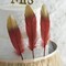 90 BURGUNDY with Metallic Gold Tip Natural Goose Feathers
